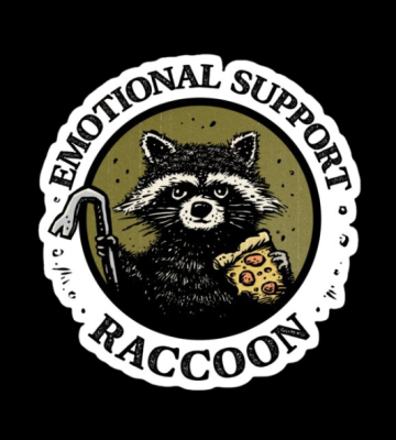 download - 2026-02-16T123034.219